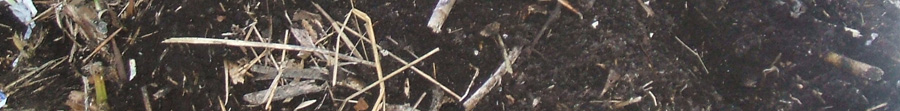 Compost pile